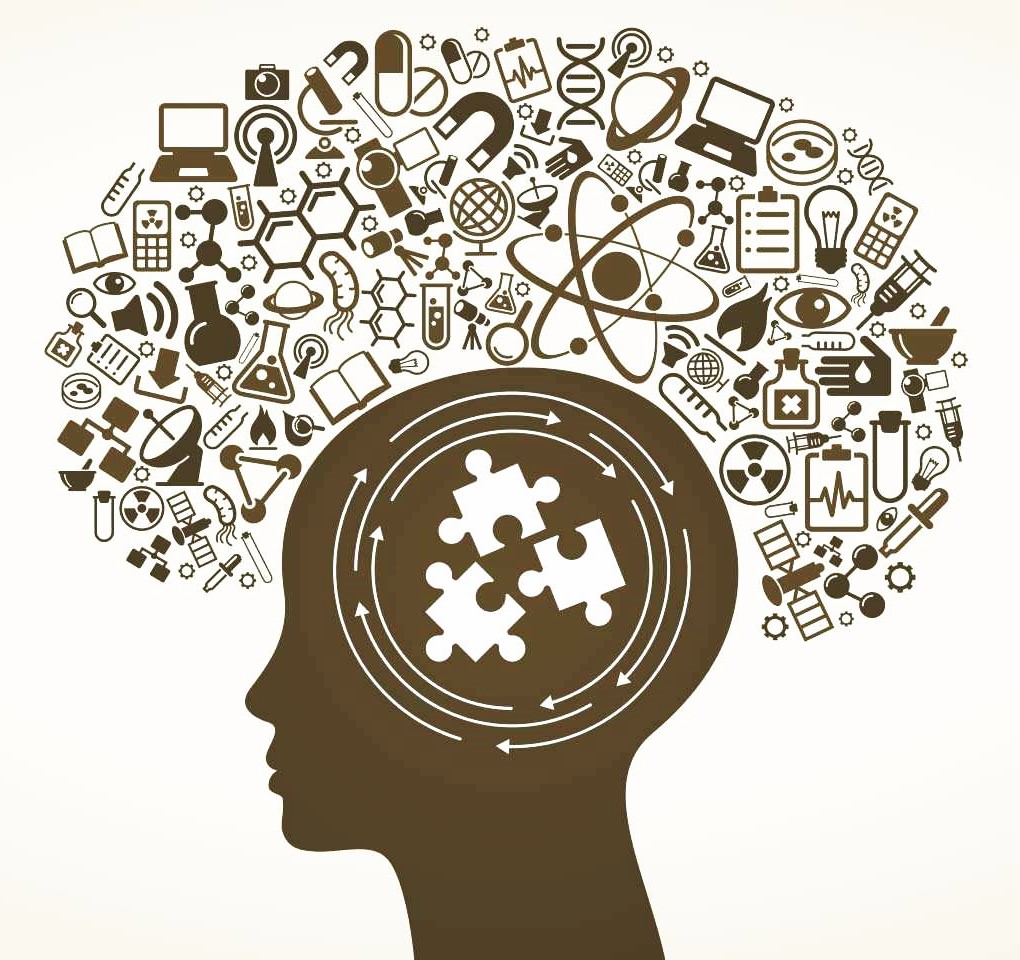 curriculum dpsa curriculum dpsa